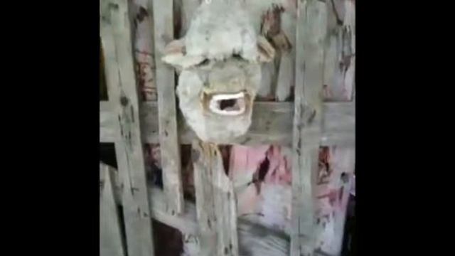 автопортрет смотреть онлайн