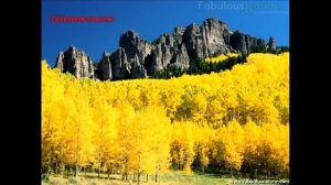 Шавасана.  Техника расслабления Шавасана.