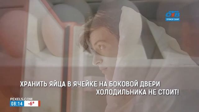 Сколько и как хранить куриные яйца в рубрике «Срок годности» смотреть онлайн