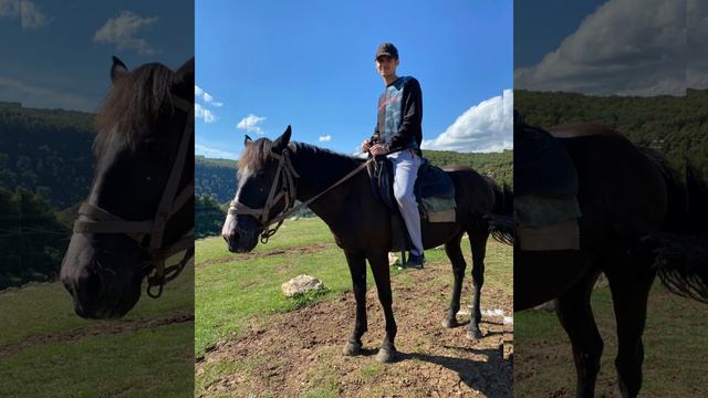 Ранчо Амазонка. Прогулка. 5.09.21 смотреть онлайн