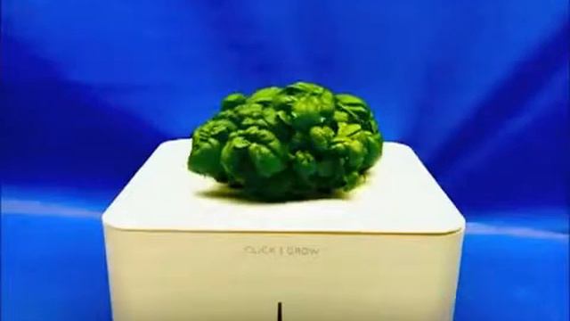 Как Растет Сlickandgrow смотреть онлайн