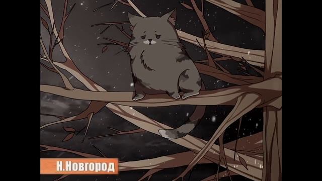 Зато я спас кота