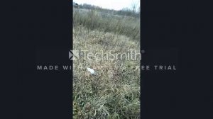 Реакция фольги и средства для очистки труб. Опыт.