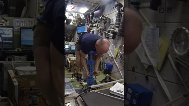 Как взвесить #космонавт? #cosmonaut #shorts #роскосмос #мкс #iss #космос #space