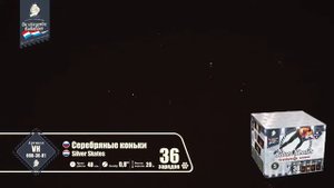 VH080 36 01 Серебряные коньки