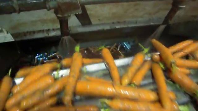 Мойка моркови смотреть онлайн