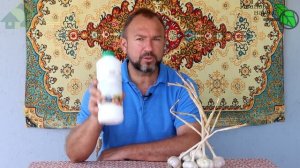 ЗАМАЧИВАЮ ЧЕСНОК и ЛУК В ЭТОМ РАСТВОРЕ И УРОЖАЙ ВСЕГДА ОТЛИЧНЫЙ! Даже больные зубки дадут урожай!