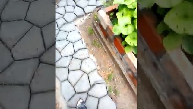 Форма садовая дорожка , дорожка для сада и огорода