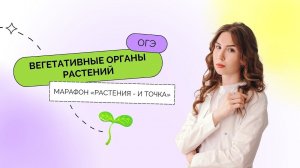 День 1. Вегетативные органы растений – Марафон «Растения – и точка» | ОГЭ 2023