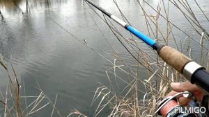 Рыбалка в Кабардино Балкарии на Майских карьерах