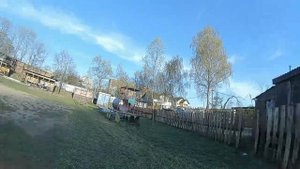 Миитовское море