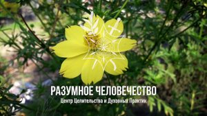 Дискомфорт Рядом С Людьми