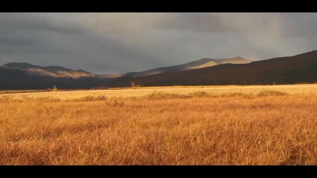 Рокот бубна, оленье стадо. смотреть онлайн