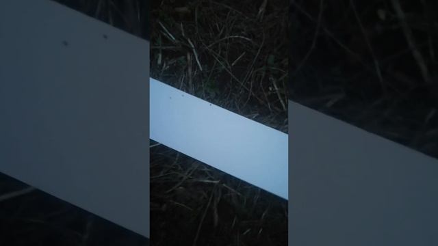 Очередной тест на мелкое золото Нокта Легенда