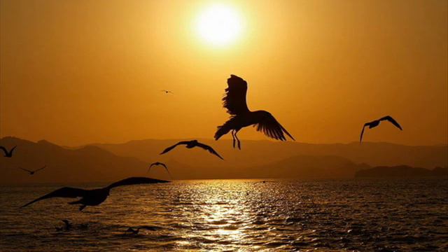 Chinmaya Dunster Relationships смотреть онлайн