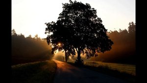 Ключевая аффирмация для настройки позитивного мышления. Лучшие аффирмации на каждый день