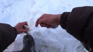 Зимняя Рыбалка на Оке! Рыбалка в Феврале на Оке на Подтяг!