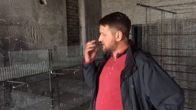 Бизнес на бройлерах кобб 500 как убрать запаха в курятнике от аммиака чистка помета в курятнике смотреть онлайн