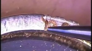 Разметка и закрепка камней 4