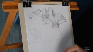 Лист лопуха. Зарисовка карандашом