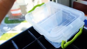 Люпин низкорослый. Как посадить семена и вырастить цветок многолетник.