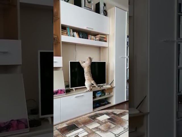 1 декабря 2021 г. смотреть онлайн