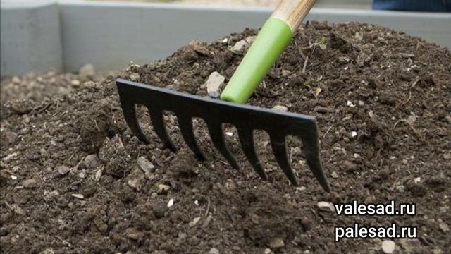 ВНЕСИТЕ ЭТО В ПОЧВУ ОСЕНЬЮ, тогда овощи завалят урожаем! Как сделать идеальный питательный грунт