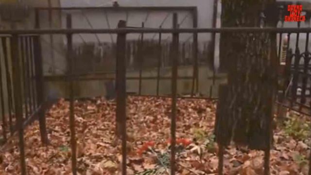 Страна в шоке: где похоронят бывшую жену Гогена Солнцева? смотреть онлайн