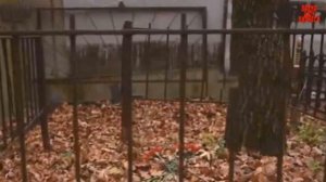 Страна в шоке: где похоронят бывшую жену Гогена Солнцева?