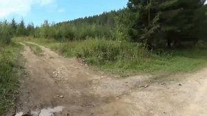 Дорога на Лытву - Александровск Пермский край