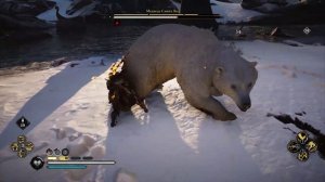 Assassin's Creed: Valhalla - Медведь Синих Вод (Легендарное животное)