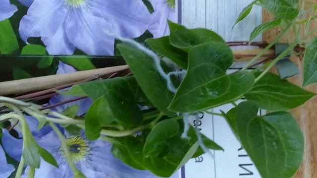 21 мая 2021 г. смотреть онлайн