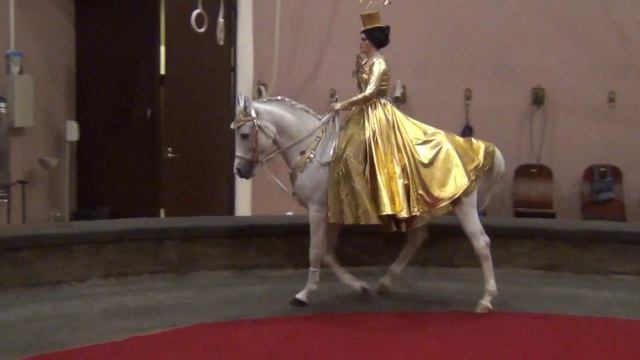 Разминка цирковой лошади перед представлением/Warming up a horse before the circus performance смотреть онлайн