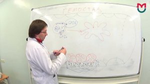 Гемостаз часть вторая