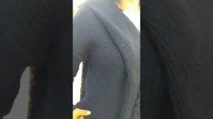 Интарсия спицами. Кардиган спицами. Вязаный Лев.