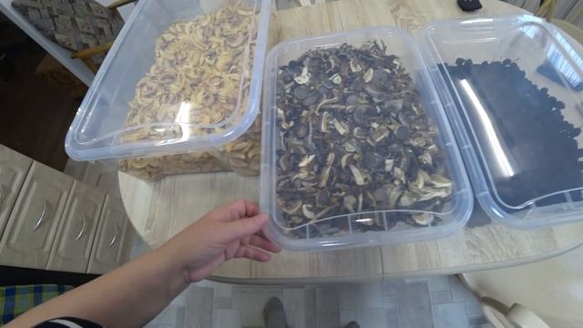 29 октября. Опять в Леруа. Мясные покупки. Сушёные продукты теперь на месте. Испекла хлеб. смотреть онлайн