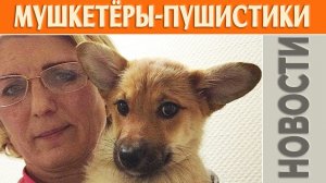 Мушкетёры-пушистики с Брусилова, НОВОСТИ❗ Спасибо всем за репосты, финансовую и моральную помощь❗