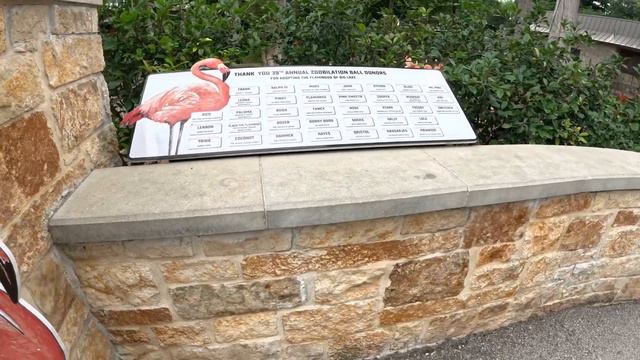 The San Antonio zoo Texas summer 2023 🇺🇸 смотреть онлайн