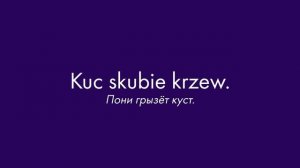 Журнал наблюдений: могут ли англичане уйти по-английски?