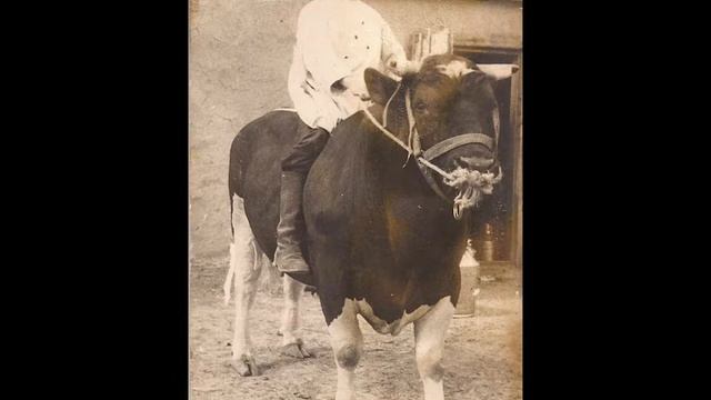 Сергиевская библиотека, "Нелегкая женская доля" смотреть онлайн