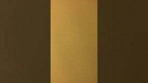 MOSER 1411-0050 Kutu Açılışı