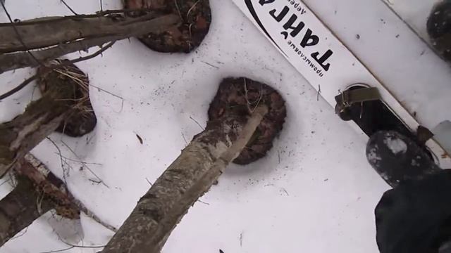 Охота Весна За глухарём на лыжах по снегу и воде Первый самокрут . Проверка. on the water. смотреть онлайн