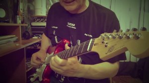 NF Guitars SB-22 (L-G1)