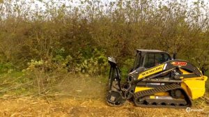 Мульчер PRINOTH M450s-1600 и мини-погрузчик New Holland C338 на расчистке старых садов в Краснодар