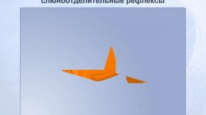 Условные и безусловные слюноотделительные рефлексы