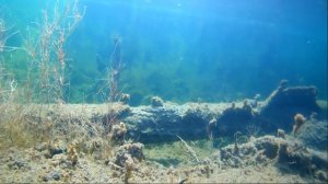 Уксинская озовая гряда. Моренные озера. Карелия.