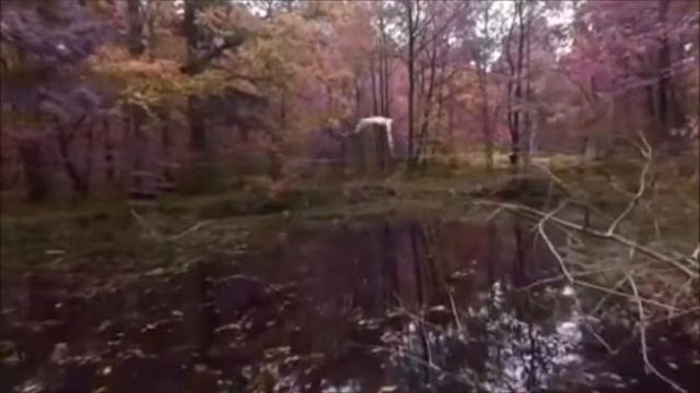 Характер это и есть судьба ! смотреть онлайн