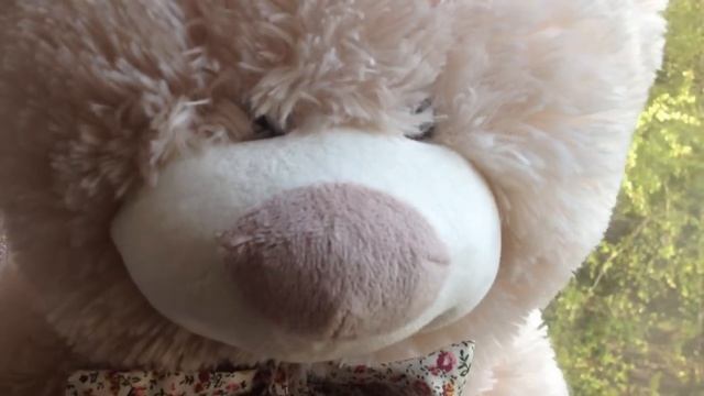 игрушка Медведь смотреть онлайн