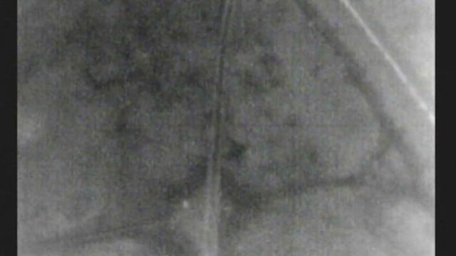 Seek UAV - Приклад роботи системи - Search and Rescue смотреть онлайн