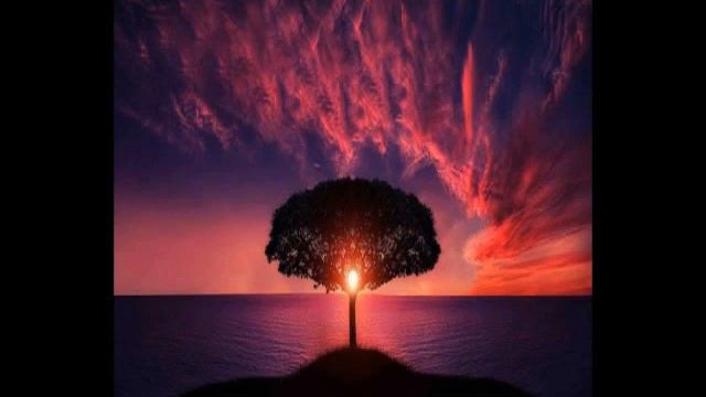 Flute Sound For Meditation смотреть онлайн